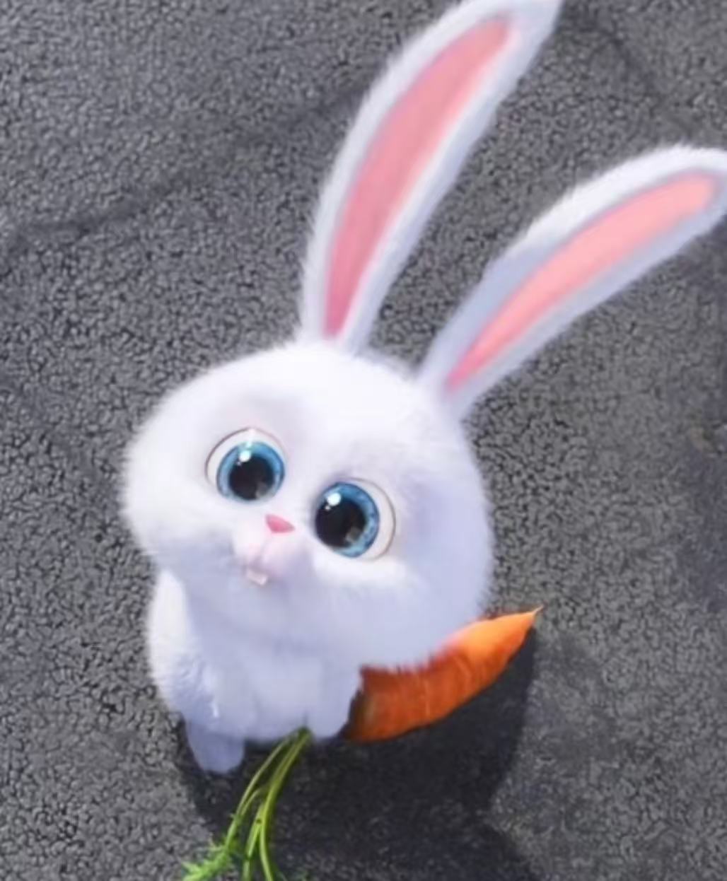 Anime Representative